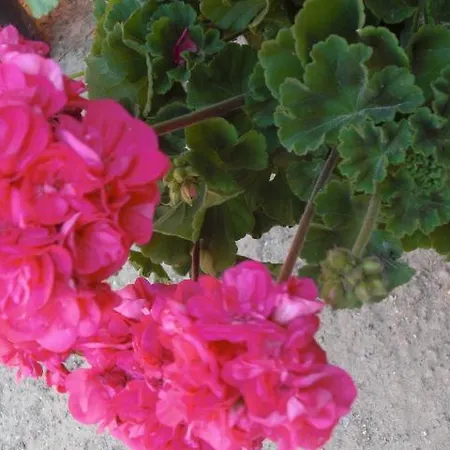 Holiday home La Canada
