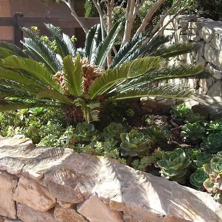 Rancho Transparentes Сasa de vacaciones