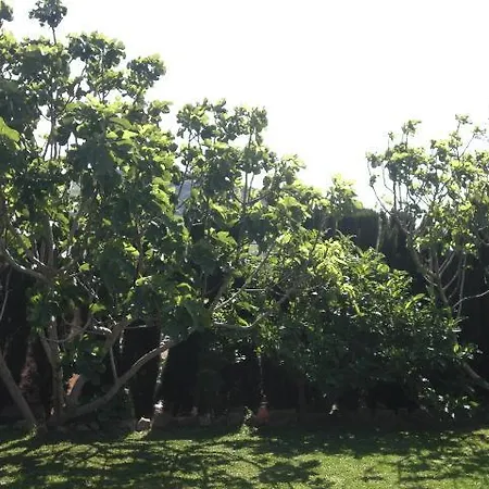 Rancho Transparentes Сasa de vacaciones Vejer de la Frontera